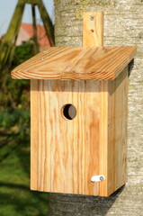 Nichoir pour mésange et autre oiseaux du jardin © vipaladi