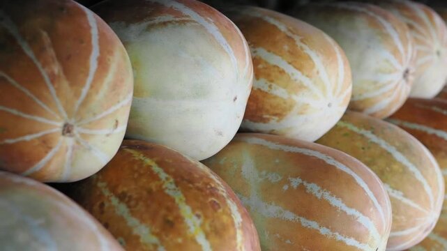 Muskmelon, also known as Thai melon, is available ripe in the fruit and vegetable market.
