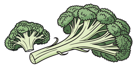 Two green broccoli florets on white background green vegetable cartoon style two florets © Hasen