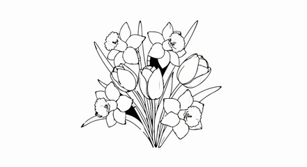 Fototapeta premium Line art bouquet of daffodils and tulips