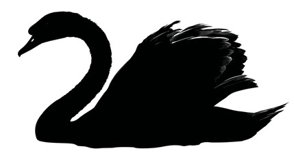 Obraz premium A silhouette of a graceful waterbird with a long, curved neck and textured wing detail, black