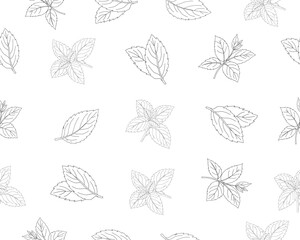 Mint leaves seamless pattern. Herbal mint foliage background. Fresh mint botanical repeat pattern. Aromatic herb leaves texture. Green culinary ingredient pattern. Natural herbal foliage wallpaper. © Ani