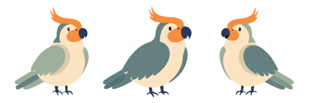 Collection of grey yellow exotic cockatoo birds, cartoon style cute animal illustration transparent vector png eps, wildlife character design perched side view, isolated asset element avian species
