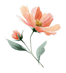 Naklejka premium PNG Delicate watercolor floral illustration.