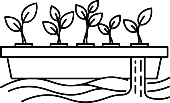 Hydroponic Garden Seedlings Growing in Water hydroponics plant