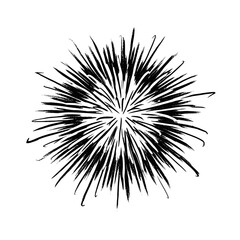 Fototapeta premium Abstract black ink splash resembling a firework burst on a white background