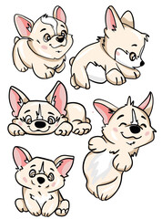 Fototapeta premium Set of cute kawaii puppy characters in different poses vector illustration