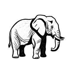 Obraz premium Stylized black and white illustration of an elephant with textured details