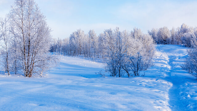 panoramic view of snowy Zelenaya hill in Murmansk