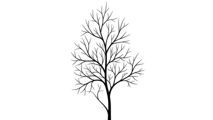 Fototapeta premium Minimalist black line drawing of a leafless tree with many branches extending upwards, creating an artistic silhouette on white.