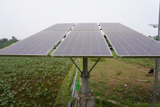 Solar Panels Installed in Agricultural Field with Worker