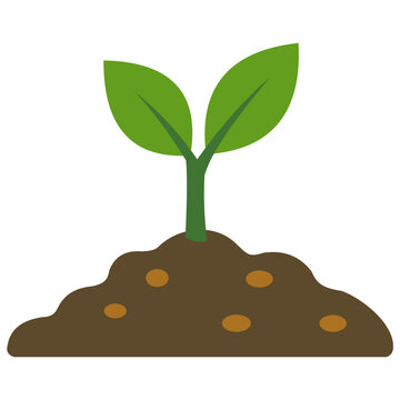 Plant sprout growing from soil &ndash; agriculture and gardening concept