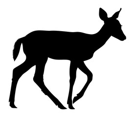Fototapeta premium PNG Baby deer walking silhouette illustration wildlife animal.