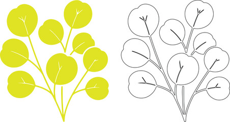 Eucalyptus leaves silhouettes green black © Nancy
