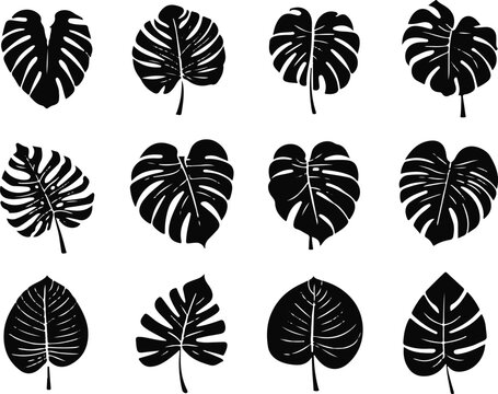 Monstera Leaf Silhouette Set, Tropical Jungle Leaves Collection, Minimal Black Botanical Icons Isolated on Light Background, Modern Nature Design Elements for Logo