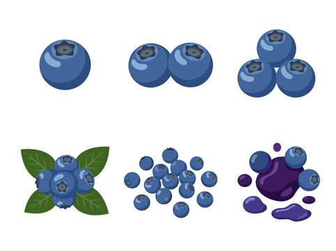Fresh blueberry collection in minimalist flat vector style featuring single berries clusters with leaves and purple juice splashes for organic food design