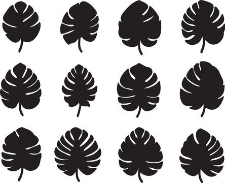 Monstera Leaf Silhouette Set, Tropical Jungle Leaves Collection, Minimal Black Botanical Icons Isolated on Light Background, Modern Nature Design Elements for Logo