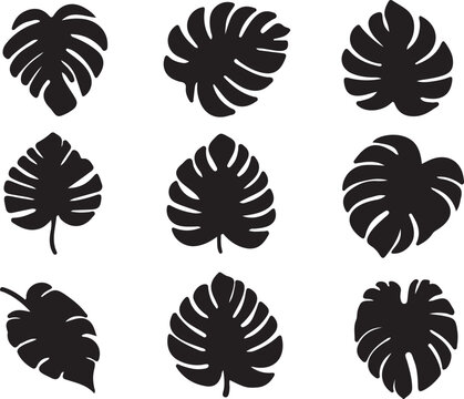 Monstera Leaf Silhouette Set, Tropical Jungle Leaves Collection, Minimal Black Botanical Icons Isolated on Light Background, Modern Nature Design Elements for Logo