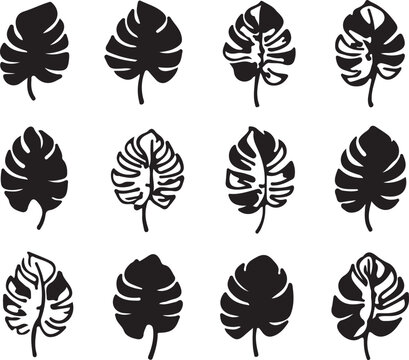 Monstera Leaf Silhouette Set, Tropical Jungle Leaves Collection, Minimal Black Botanical Icons Isolated on Light Background, Modern Nature Design Elements for Logo