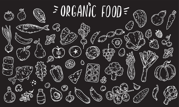 Organic food sketch doodles . Whimsical food doodles, Hand drawn vector illustration for menu, packaging design. Food quirky icons, simple sketch style. Top view. Chalkboard style