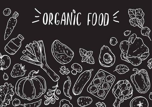 Organic food sketch doodles . Whimsical food doodles, Hand drawn vector illustration for menu, packaging design. Food quirky icons, simple sketch style. Top view. Chalkboard style