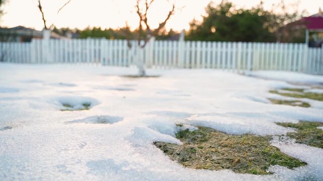 Smooth camera movement over lawn covered with melting snow. Spring day in garden. Stale lawn grass after winter