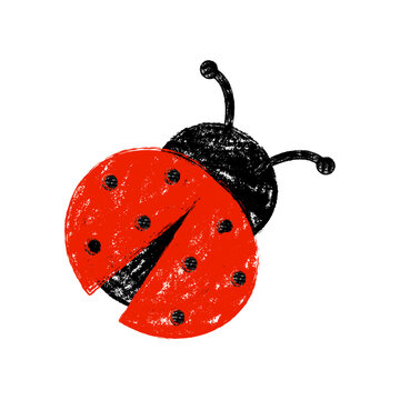 Cute ladybug hand drawn vector illustration with grunge texture. Red and black insect icon in crayon style, perfect for nature, spring, garden, kids design, stickers and eco themes.