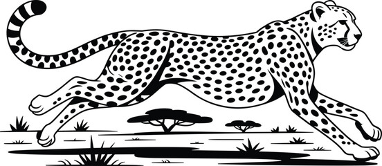 Black and white cheetah running in savannah landscape spots © MdSar