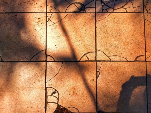 Sunlight dances across cracked, earth-toned tiles