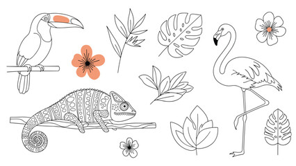 Fototapeta premium Tropical themed collection of line drawings includes a toucan, flamingo, chameleon, exotic leaves, and pretty flowers for coloring or design.