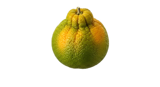 Whole ugli fruit citrus, isolated on white or transparent background. PNG