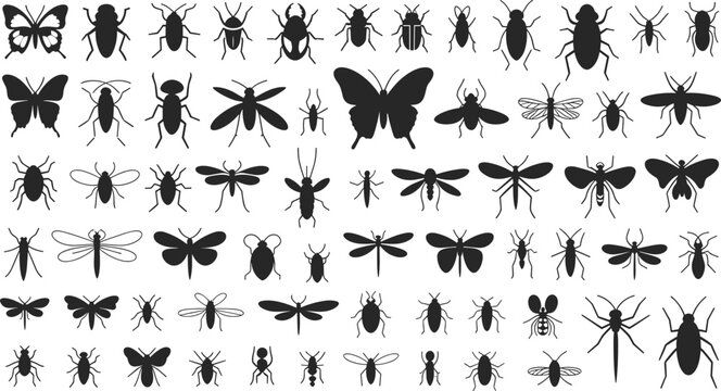 Flat vector silhouettes of insects including butterflies, beetles, moths, fliesFlat vector silhouettes of insects including butterflies, beetles, moths, flies