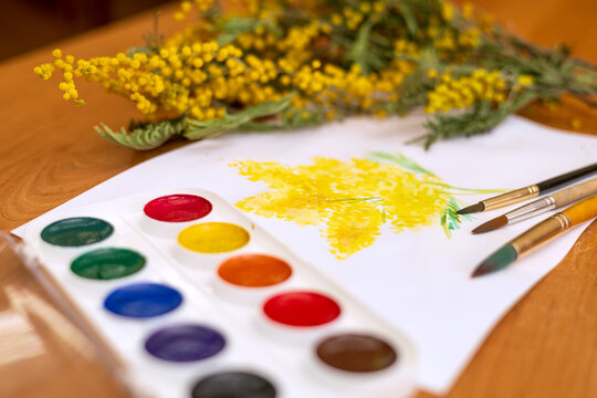 A bouquet of mimosa flowers painted in watercolor next to paints and a branch of yellow flowers. Student art at school. 