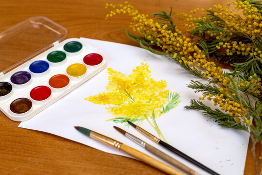 A bouquet of mimosa flowers painted in watercolor next to paints and a branch of yellow flowers. Student art at school. 