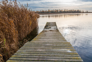 A narrow wooden jetty stretches into quiet water beside dense stands of common reed. Worn planks, soft light and still water create a serene lakeside composition suited to travel, solitude and nature  © Volha