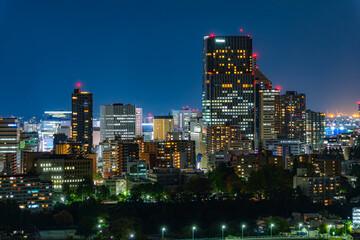 Fototapeta premium 宮城県仙台市 仙台城跡（青葉城址）から見下ろす広瀬川と杜の都・仙台の夜景