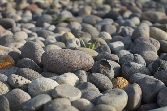 A horizontal close-up shot of smooth volcanic pebbles and river stones scattered on the ground. 