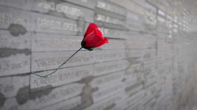 Red Flower on Human Rights Memorial, Buenos Aires, Argentina - 4K