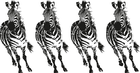Fototapeta premium Four running zebras with black and white stripes in a realistic illustration