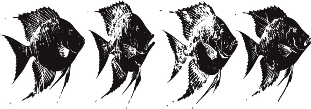 black silhouette angelfish set with detailed fins and tail in swimming poses