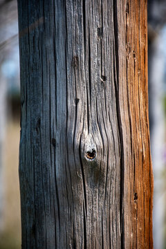 Antiguos postes de tel&eacute;fonos, poste de madera