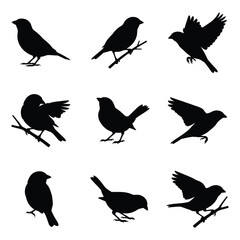 Fototapeta premium Set of Sparrow and Small Bird Silhouettes in Various Poses