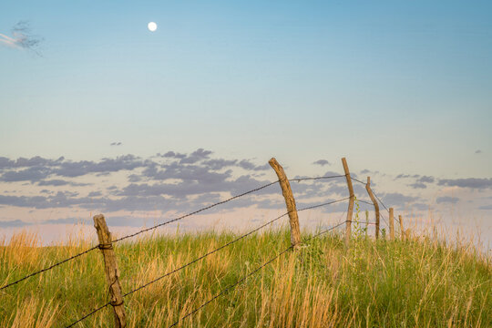 barbed wire fence in Nebraska Sandhills