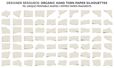 Set of Torn Paper Shapes Organic Ripped Paper Fragments Designer Resource