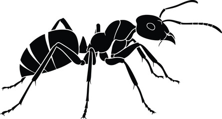 Detailed black ant silhouette side view, isolated worker insect icon for nature and biology design, macro forest bug vector illustration on white background. © MostMonira