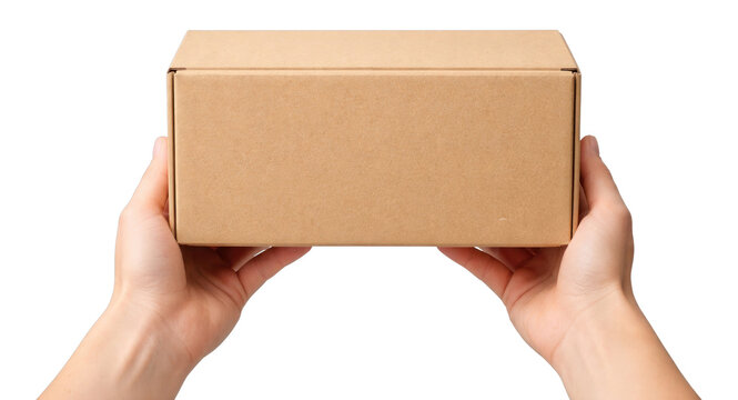 PNG Hands holding plain box