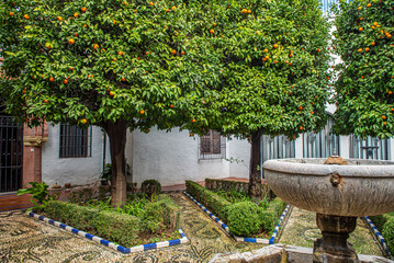 Córdoba, España, una maravillosa ciudad para descubrir trozos de la historia