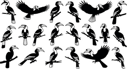 Black and white hornbill bird silhouettes collection in various flying and perched poses isolated on white background for wildlife design © MDBABUL