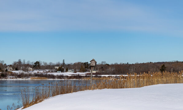 Image of a bird house surrounded by snow and dried grass with water in the background on a winter day in Maine.
