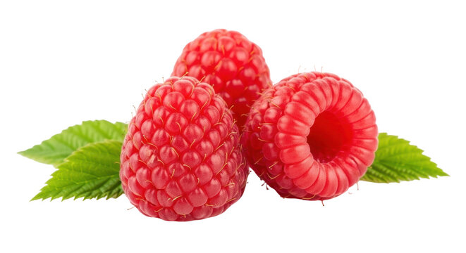 Three vibrant red raspberries with green leaves isolated PNG, fresh summer fruit on transparent background for healthy eating and dessert design